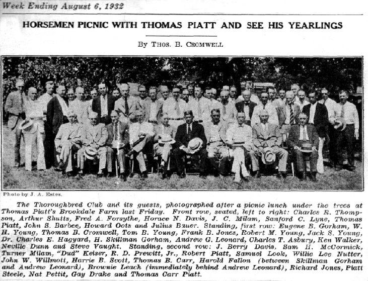 picnic32