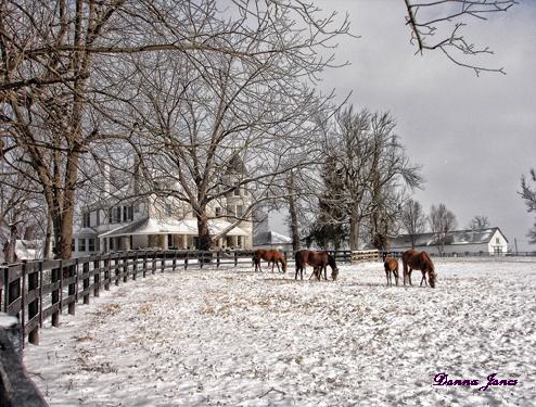 farm winterb