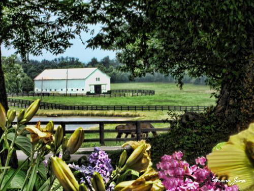 farmwflowersc
