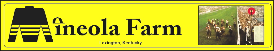 Mineola Banner2